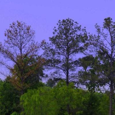 魔幻厨房极速版游戏下载
